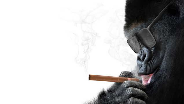 Illustration for article titled Get Excited, Children! It Is Cigarettes!